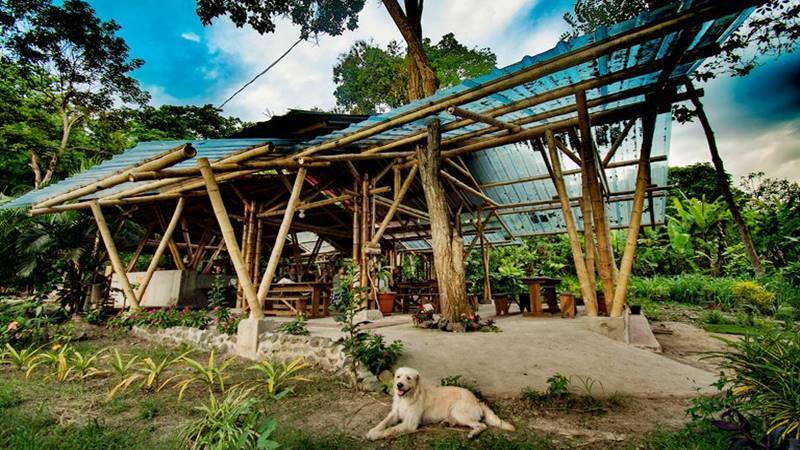 ecolodge-farm-sustainable-living-for-sale-bahia-de-caraquez-coco-bongo-hostel006