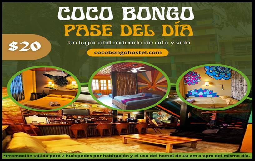 Coco Bongo Hostel, Bahia de Caraquez
