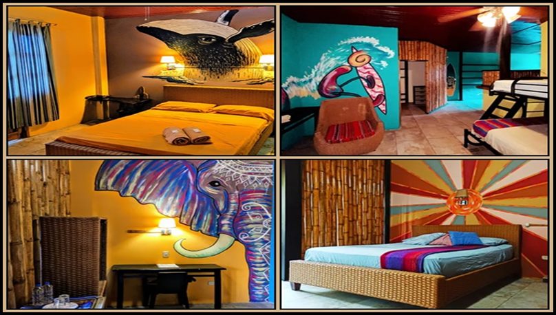 Rooms ready for Digital Nomads in CoCo Bongo Hostel