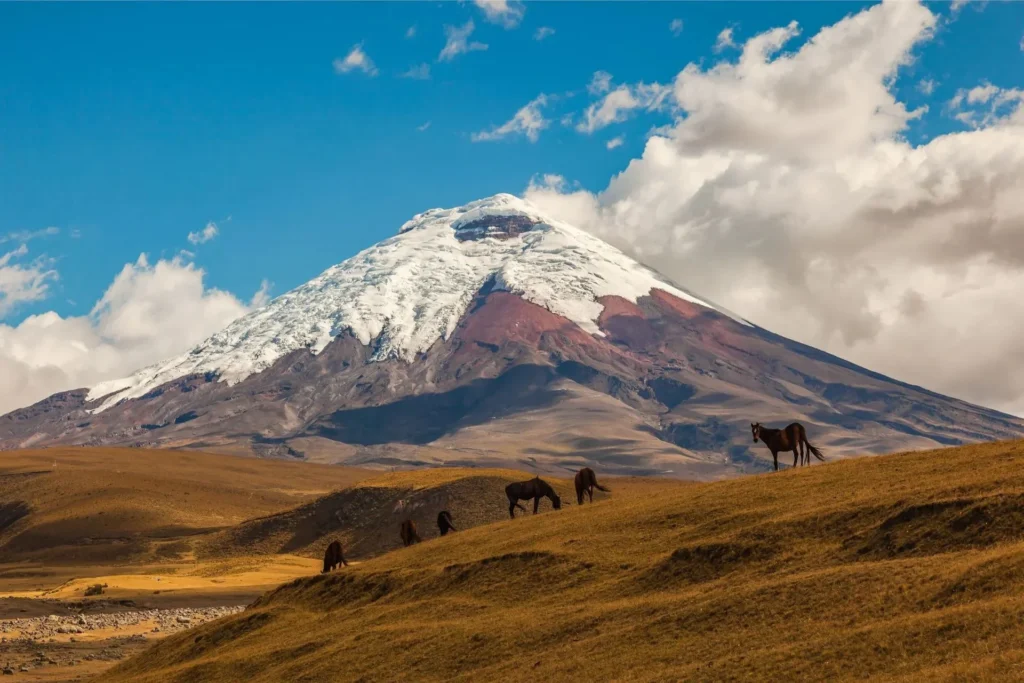 peaks-of-ecuador