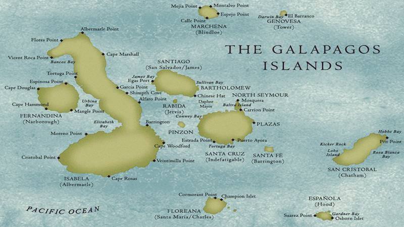 Galapagos Islands, Galapagos exploration, Galapagos distance, Galapagos wildlife, Galapagos landscapes, Galapagos cruises, Galapagos travel tips.